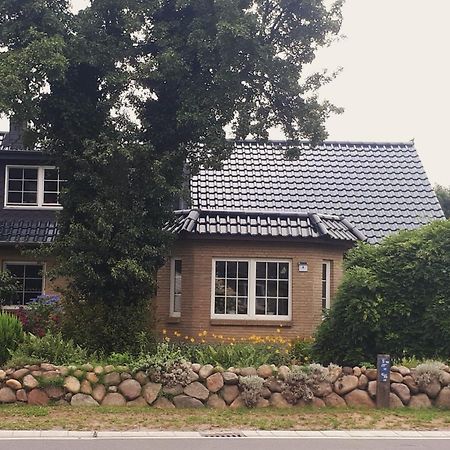 Ferienwohnung Hinz - Gemuetliche Unterkunft Fuer 2 Personen Mit Modernem Bad Ellingstedt المظهر الخارجي الصورة